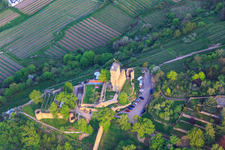 Defensive wall of the Wachtenburg (ruin of "Wachenheim Castle") in Wachenheim an der Weinstraße in the state Rhineland-Palatinate, Germany from above