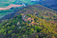 Aerial view of Madenburg castle ruins on an autumnally colored mountain in the Palatinate Forest from the north in Eschbach in the state Rhineland-Palatinate, Germany