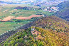 Aerial photograpy of Madenburg castle ruins on an autumnally colored mountain in the Palatinate Forest from the north in Eschbach in the state Rhineland-Palatinate, Germany