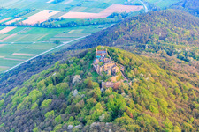Oblique view of Madenburg castle ruins on an autumnally colored mountain in the Palatinate Forest from the north in Eschbach in the state Rhineland-Palatinate, Germany