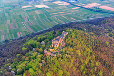 Madenburg castle ruins on an autumnally colored mountain in the Palatinate Forest from the north in Eschbach in the state Rhineland-Palatinate, Germany from the plane