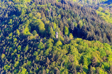 Martinsturm with Wasgaublick viewing point in Klingenmünster in the state Rhineland-Palatinate, Germany