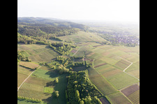 Sonnenberg vineyard in Wissembourg in the state Bas-Rhin, France from above