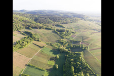 Sonnenberg vineyard in Wissembourg in the state Bas-Rhin, France out of the air