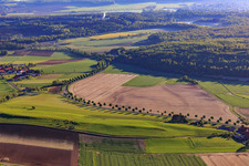Curved avenue on Ith Street in the district Capellenhagen in Duingen in the state Lower Saxony, Germany
