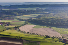 Row of trees on a country road on a field edge in Capellenhagen in the state Lower Saxony, Germany
