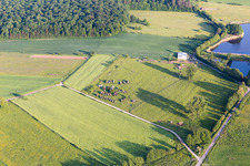 Military trucks in Vibersviller in the state Moselle, France