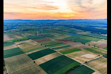Wind farm Minfeld in Minfeld in the state Rhineland-Palatinate, Germany