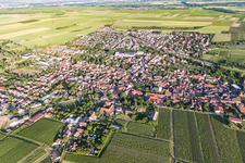 Agricultural land and field borders surround the settlement area of the village in Westhofen in the state Rhineland-Palatinate, Germany