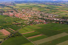 Aerial view of View of the town from the northwest in the district Pfeddersheim in Worms in the state Rhineland-Palatinate, Germany
