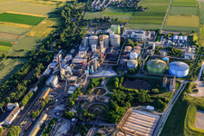 Südzucker AG in Obrigheim in the state Rhineland-Palatinate, Germany from above