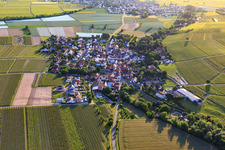 View of the town from the east in Bissersheim in the state Rhineland-Palatinate, Germany