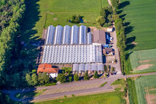 Aerial view of Cactus Land Steinfeld in Steinfeld in the state Rhineland-Palatinate, Germany