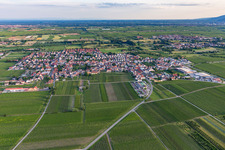 From the northeast in Niederkirchen bei Deidesheim in the state Rhineland-Palatinate, Germany