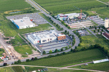 Cineplex Decathlon in Neustadt an der Weinstraße in the state Rhineland-Palatinate, Germany