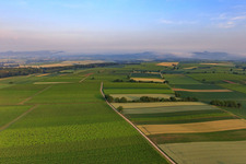 Horbach lowlands in the morning in the district Ingenheim in Billigheim-Ingenheim in the state Rhineland-Palatinate, Germany