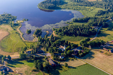 Water lilies in the moor-colored Salen Lake at Blädingekyrka in Småland in Blädinge in the state Kronoberg, Sweden