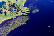 Riparian areas on the swamp coloured (Smaland) lake Asnen with water lillys, boat bridge, and swimming beach in Hunna in Kronobergs laen, Sweden