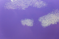 Hunna in the state Kronoberg, Sweden from the plane