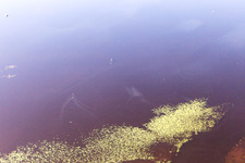 Bird's eye view of Odensjö in the state Kronoberg, Sweden