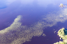 Skäggalösa in the state Kronoberg, Sweden viewn from the air