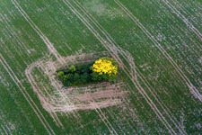 Borre in the state Zealand, Denmark from a drone