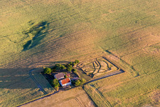 Homestead of a farm surrounded by crop fields in Borre in Region Sjaelland, Denmark