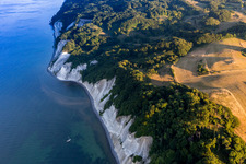 Forests of Moens Klint on the high shores of the Baltic sea in Borre in Region Sjaelland, Denmark