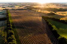 Aerial view of Borre in the state Zealand, Denmark