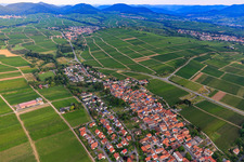 Wine-growing village from the southeast in the district Wollmesheim in Landau in der Pfalz in the state Rhineland-Palatinate, Germany