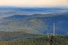 Aerial view of Transmission mast on the Weinbiet in the district Haardt in Neustadt an der Weinstraße in the state Rhineland-Palatinate, Germany