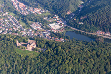 Oblique view of Limburg Monastery in the district Grethen in Bad Dürkheim in the state Rhineland-Palatinate, Germany