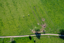 Ernolsheim-lès-Saverne in the state Bas-Rhin, France from above