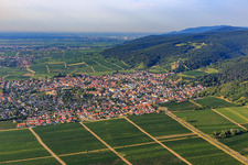 Aerial view of City view from the north in Wachenheim an der Weinstraße in the state Rhineland-Palatinate, Germany