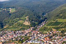 Ruins of the former fortress Wachtenburg ("Burg Wachenheim") in Wachenheim an der Weinstrasse in the state Rhineland-Palatinate, Germany from above