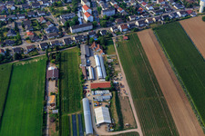 Kugelmann organic farm in Kandel in the state Rhineland-Palatinate, Germany from the plane