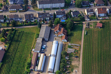 Kugelmann organic farm in Kandel in the state Rhineland-Palatinate, Germany viewn from the air