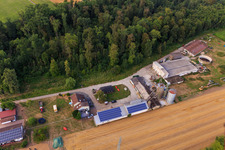 Oblique view of Corn maze, wedding location and beach lounge Seehof in Steinweiler in the state Rhineland-Palatinate, Germany