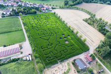 Aerial view of Maze - Labyrinth on a corn-field in Steinweiler in the state Rhineland-Palatinate, Germany