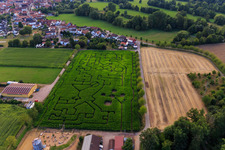 Corn maze, wedding location and beach lounge Seehof in Steinweiler in the state Rhineland-Palatinate, Germany out of the air