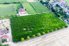 Aerial photograpy of Maze - Labyrinth on a corn-field in Steinweiler in the state Rhineland-Palatinate, Germany