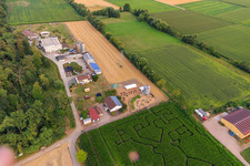 Corn maze, wedding location and beach lounge Seehof in Steinweiler in the state Rhineland-Palatinate, Germany seen from above