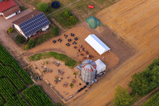 Bird's eye view of Corn maze, wedding location and beach lounge Seehof in Steinweiler in the state Rhineland-Palatinate, Germany