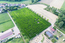 Oblique view of Maze - Labyrinth on a corn-field in Steinweiler in the state Rhineland-Palatinate, Germany