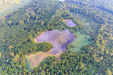 Weingarten Moor in Weingarten in the state Baden-Wuerttemberg, Germany