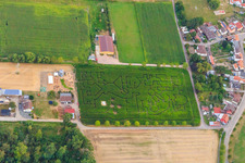 Drone image of Corn maze, wedding location and beach lounge Seehof in Steinweiler in the state Rhineland-Palatinate, Germany