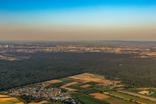 At Viernheim Forest in the district Hüttenfeld in Lampertheim in the state Hesse, Germany