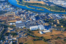 ZEWA CELL MILL WALDHOF in the district Sandhofen in Mannheim in the state Baden-Wuerttemberg, Germany