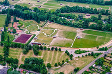 Ostrich farm in Rülzheim in the state Rhineland-Palatinate, Germany