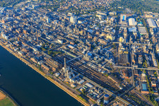 Drone recording of District BASF in Ludwigshafen am Rhein in the state Rhineland-Palatinate, Germany